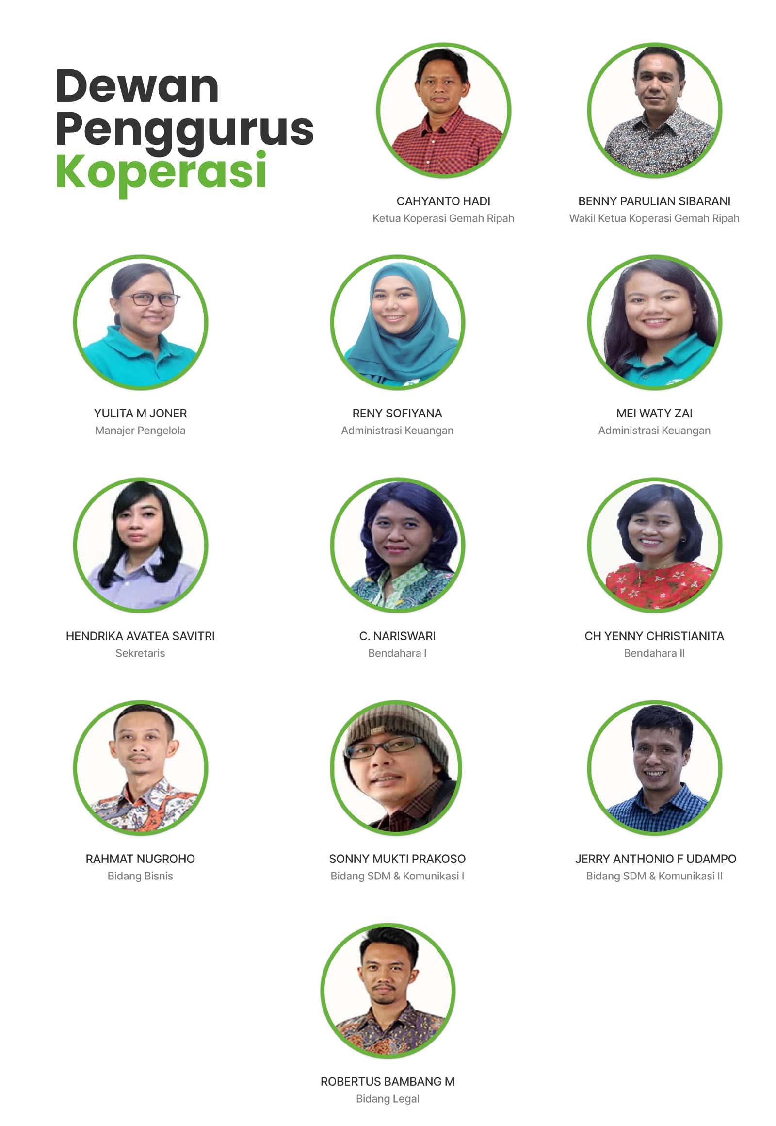 Odoo CMS - a big picture